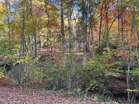 1 Bartin Ridge Murphy NC 28906