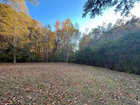 1 Bartin Ridge Murphy NC 28906