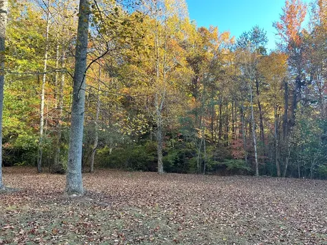 1 Bartin Ridge Murphy NC 28906