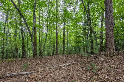 Lot 26 Persimmon Road Murphy NC 28906
