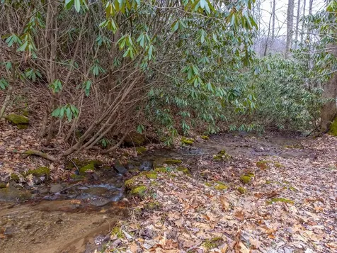 1221 Sam Cove Robbinsville NC 28771