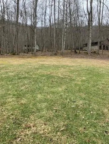 1221 Sam Cove Robbinsville NC 28771
