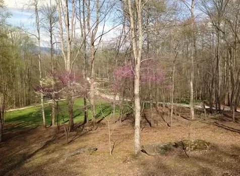 1221 Sam Cove Robbinsville NC 28771