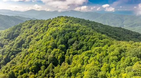 00 E Alarka Road Bryson City NC 28713