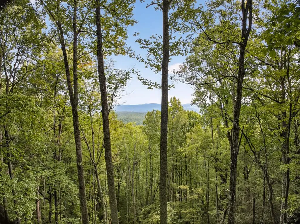 00 Hayden Lane Murphy NC 28906