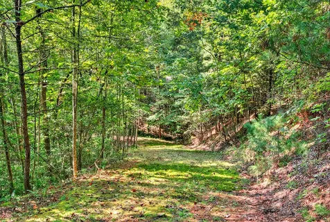 00 Hayden Lane Murphy NC 28906