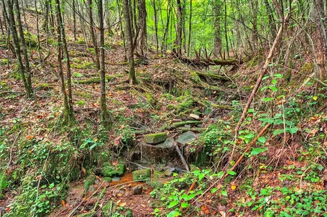 00 Hayden Lane Murphy NC 28906