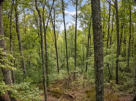 00 Hayden Lane Murphy NC 28906