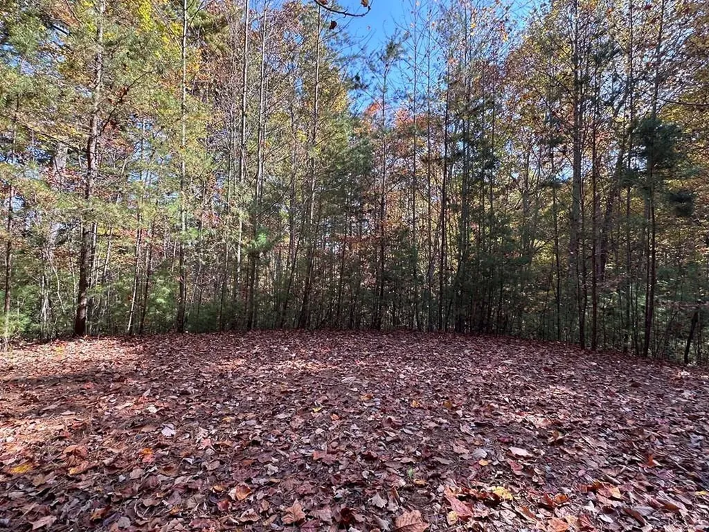 Lot 5&8 Indian Rock Springs Subdivisio Murphy NC 28906
