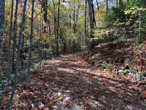 Lot 5&8 Indian Rock Springs Subdivisio Murphy NC 28906