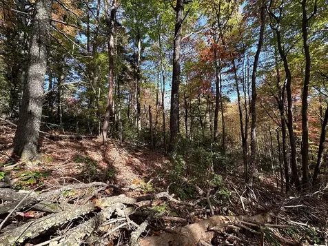 Lot 5&8 Indian Rock Springs Subdivisio Murphy NC 28906