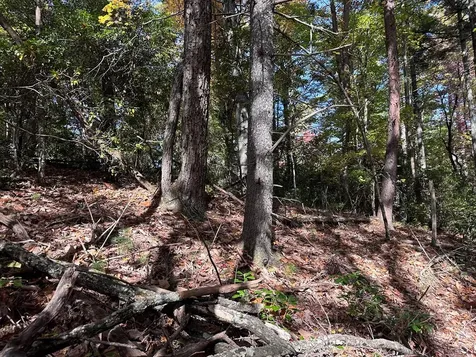 Lot 5&8 Indian Rock Springs Subdivisio Murphy NC 28906