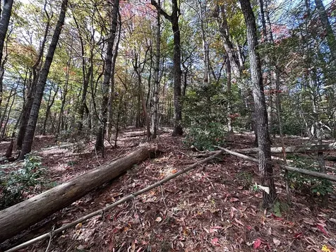 Lot 5&8 Indian Rock Springs Subdivisio Murphy NC 28906
