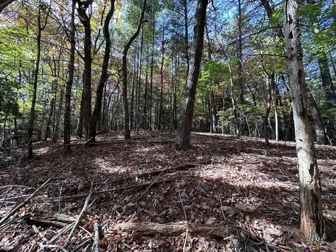 Lot 5&8 Indian Rock Springs Subdivisio Murphy NC 28906