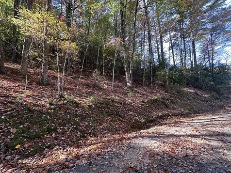 Lot 5&8 Indian Rock Springs Subdivisio Murphy NC 28906