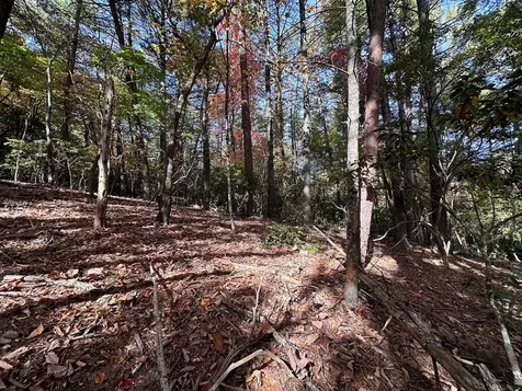 Lot 5&8 Indian Rock Springs Subdivisio Murphy NC 28906