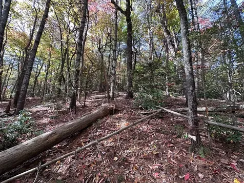 Lot 5&8 Indian Rock Springs Subdivisio Murphy NC 28906
