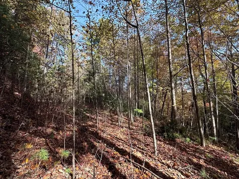 Lot 5&8 Indian Rock Springs Subdivisio Murphy NC 28906