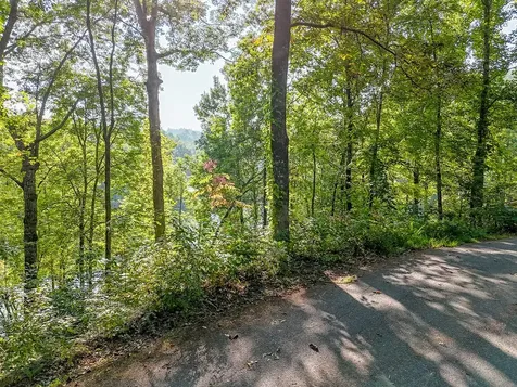 Lot 17 Castlewood Robbinsville NC 28771