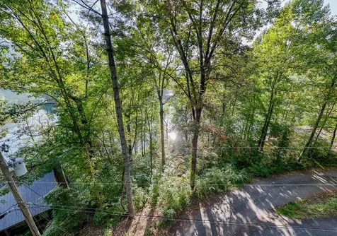 Lot 17 Castlewood Robbinsville NC 28771