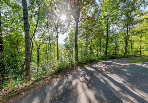 Lot 17 Castlewood Robbinsville NC 28771