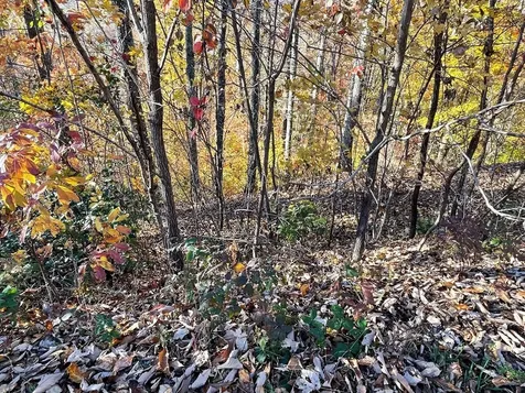 Lot 37m Ridges Hayesville NC 28904