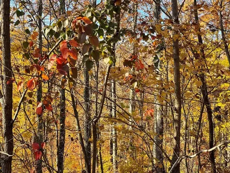 Lot 37m Ridges Hayesville NC 28904