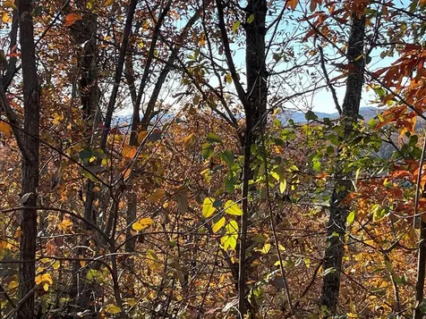 Lot 37m Ridges Hayesville NC 28904