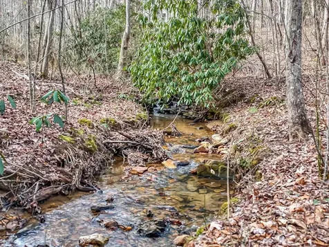 95 Breezy Brook Lane Hayesville NC 28904