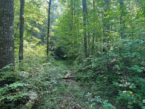 0 R J Mountain View Drive Murphy NC 28906