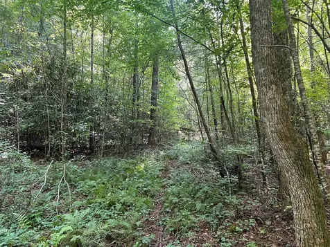 0 R J Mountain View Drive Murphy NC 28906
