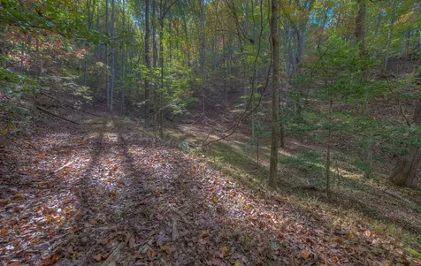 32 Rollingwood Lane Murphy NC 28906