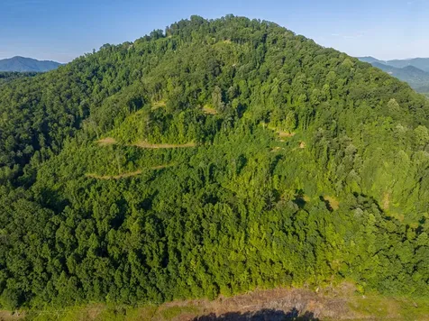 000 Highway 19 Almond NC 28702