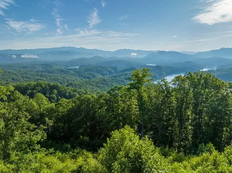 000 Highway 19 Almond NC 28702