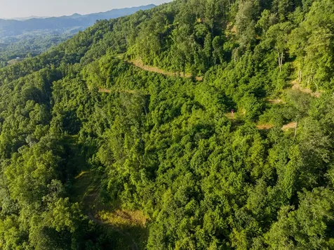 000 Highway 19 Almond NC 28702