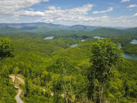 000 Highway 19 Almond NC 28702