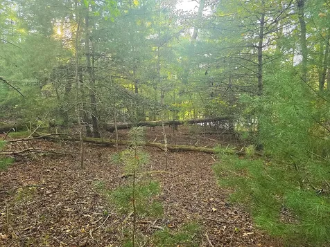 147 Sawyer Cove Road Hayesville NC 28904