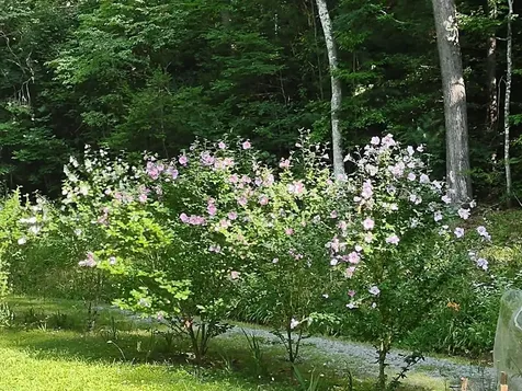 64 Timberline Road Murphy NC 28906