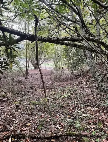 00 Wayah Road Topton NC 28781