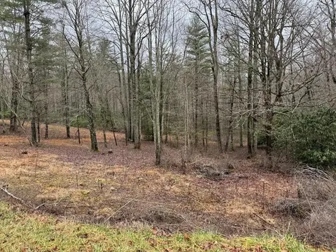 00 Wayah Road Topton NC 28781