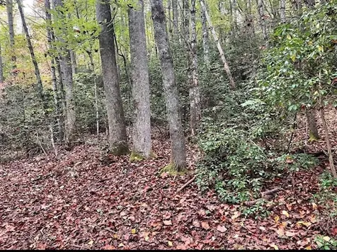 00 Wayah Road Topton NC 28781