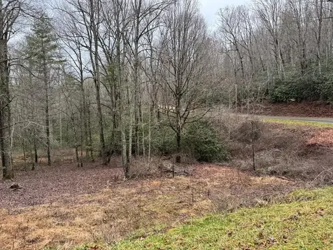 00 Wayah Road Topton NC 28781