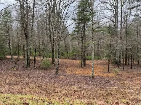 00 Wayah Road Topton NC 28781