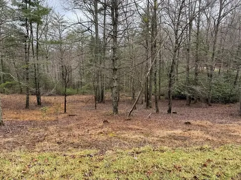 00 Wayah Road Topton NC 28781