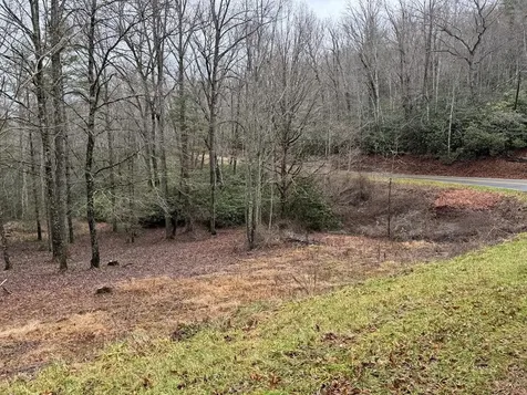 00 Wayah Road Topton NC 28781