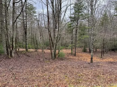 00 Wayah Road Topton NC 28781