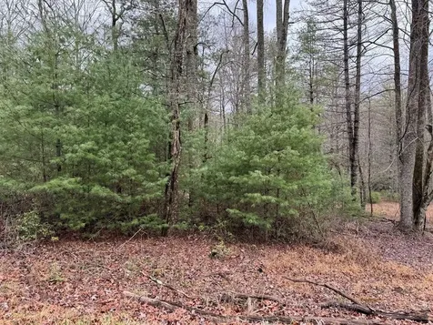 00 Wayah Road Topton NC 28781