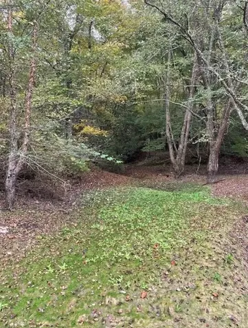 00 Wayah Road Topton NC 28781