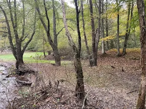 00 Wayah Road Topton NC 28781