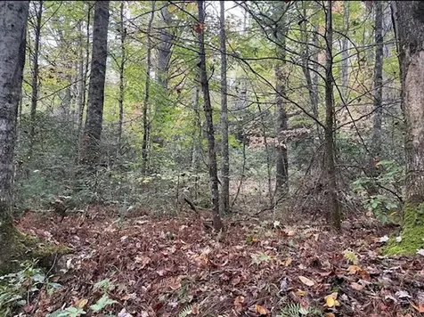00 Wayah Road Topton NC 28781